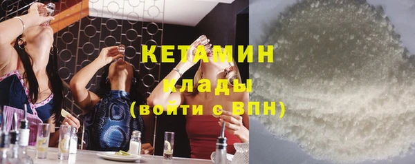 мет Няндома